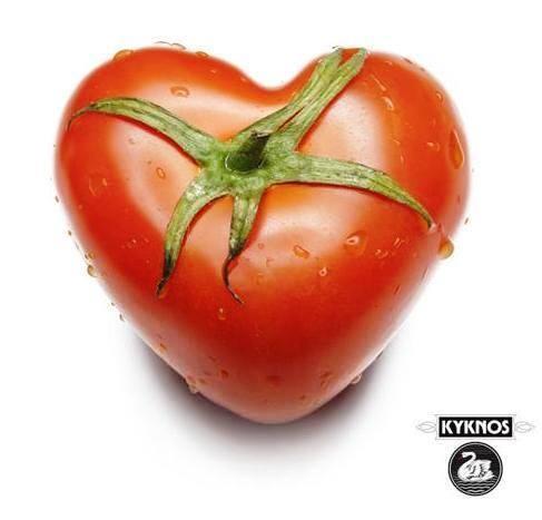 Tomatenmark - doppelt konzentrierte Tomatenpaste - 28-30%  - 10er Pack - 10x 70g Alubeutel
