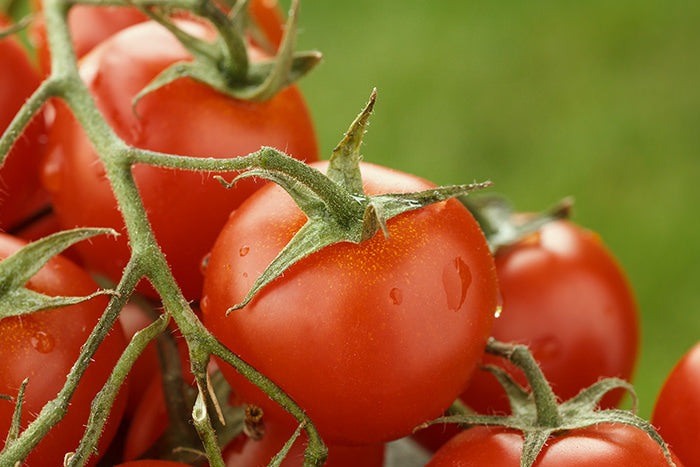 Ganze Geschälte Tomaten (Schältomaten) im Tomatensaft - 2500g Dose